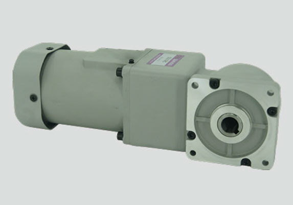 (R系列)感應(yīng)電機60W直角微型減速電機