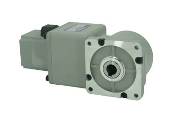 永磁減速電機(jī)40W永磁同步電機(jī)減速機(jī)